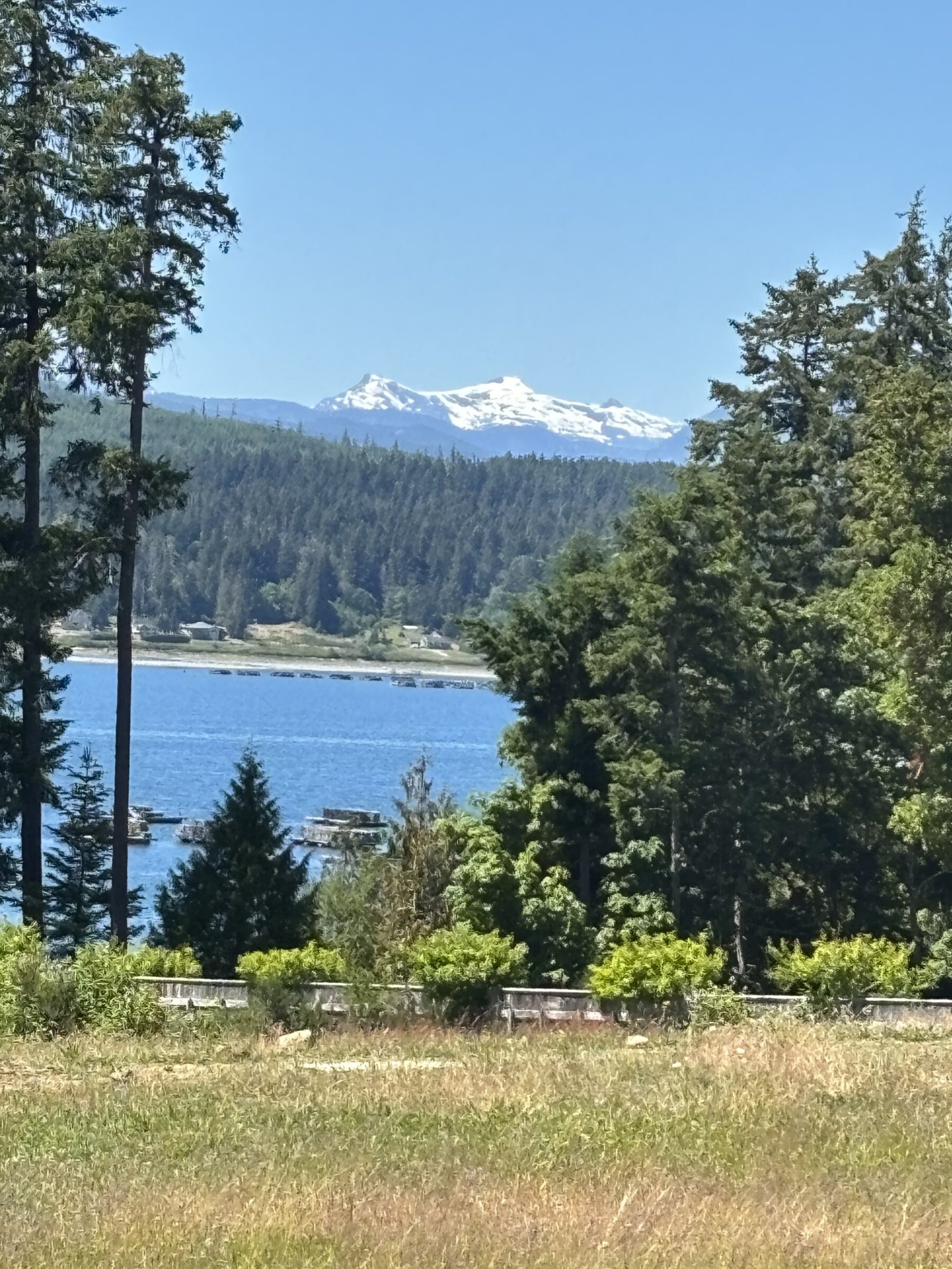 The Comox Glacier rising over Baynes Sound, framed by evergreens